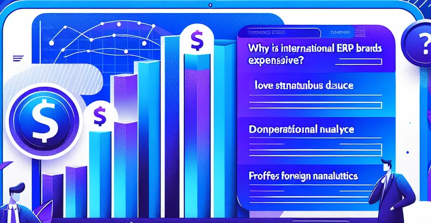 国际品牌 ERP 为什么贵？中外价格差异 4 大原因揭秘